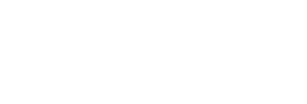 Paladin Logo